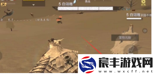 妄想山海有限血蛋获取方法