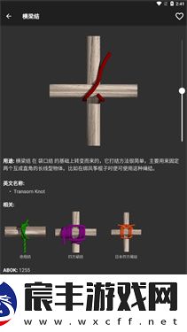 3D绳结