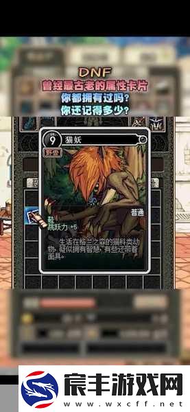 DNF-卡片升级策略-揭秘高收益潜力卡种助你高效赚钱秘籍-成为游戏财富王者的必备指南