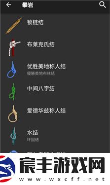 3D绳结