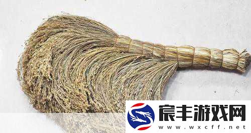 探索古代清洁之谜-扫帚的起源与发展