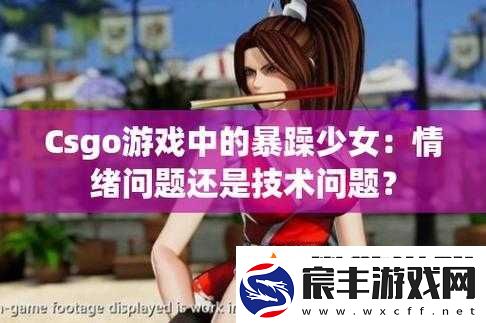 暴躁少女零九-csgo：热血竞技之路
