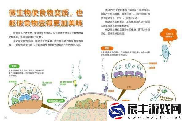 探索不可思议微生物-艺妓蛋蛋的突变之旅