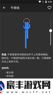 3D绳结