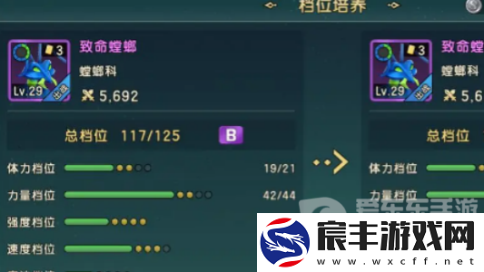 魔力宝贝复兴传教士玩法攻略大全