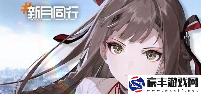 新月同行龙井茶品质分析与强度评估-探讨其口感特点