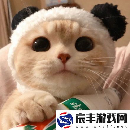 2021微信最火头像有哪些
