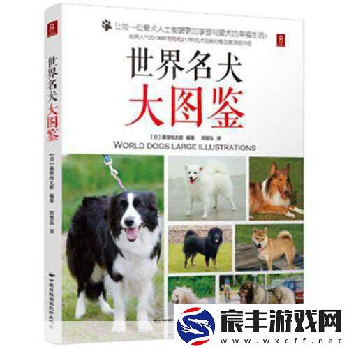 探索宠物世界-训狗秘籍大公开