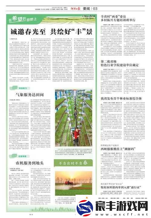 老孙头的春天在晋江：每日-18-00-准时更新