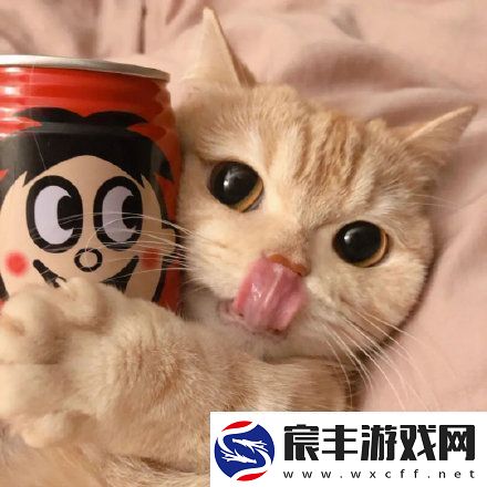 2021微信最火头像有哪些