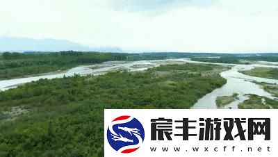 探索免费X站的宝藏：发现无限可能