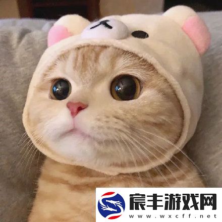 2021微信最火头像有哪些