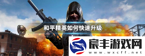 和平精英怎么快速升级等级