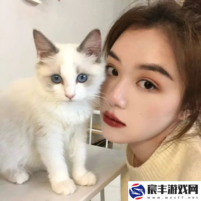 2021微信最火头像有哪些