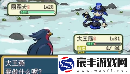 口袋妖怪登峰造极金手指代码有哪些