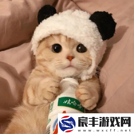 2021微信最火头像有哪些