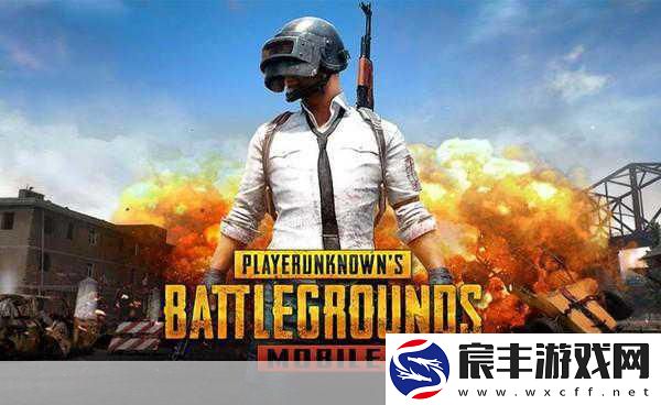 PUBG正版手游悬念站启幕-揭秘战场新篇章！