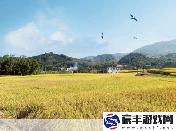 丰年经继拇中文2的创新点-丰年经续集：探索拇指文化的创新与传承