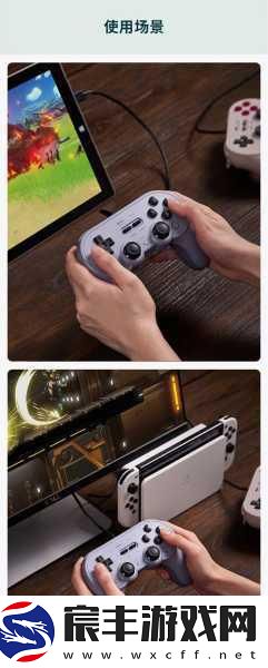 探索艾尔登法环联机的必备道具