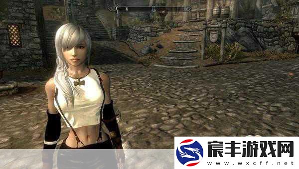 上古卷轴5惊现披萨Mod-80种口味解锁美食冒险！