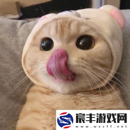 2021微信最火头像有哪些