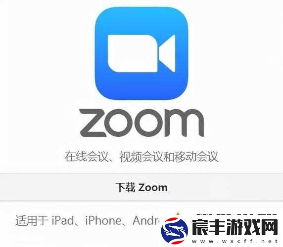 ZOOMOKZOOM：视频会议软件大揭秘