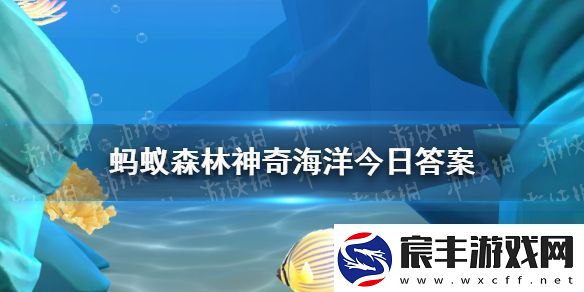 海洋中许多鱼类每年会沿着一定路线往返迁移这种活动称为神奇海洋10月13日答案