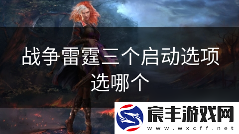 战争雷霆三个启动选项选哪个