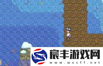 星露谷物语太阳鱼在哪钓