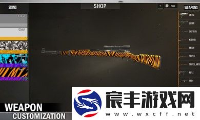 欧洲前沿