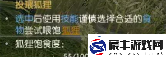 逆水寒手游絮絮狐语逸闻任务怎么做