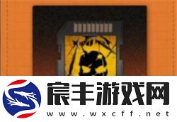 新月携手净天卡带的最佳搭配方案与攻略