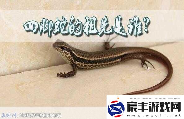 民间说法称清明蔗毒过蛇真正原因是-背后的科学秘密