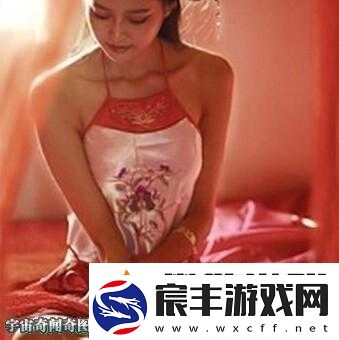 23-部禽女乱录像全揭秘