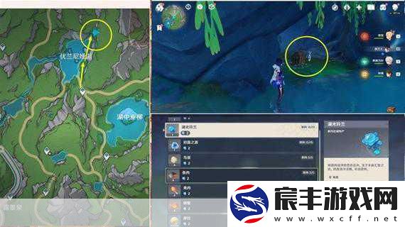 原神等量交换攻略大揭秘