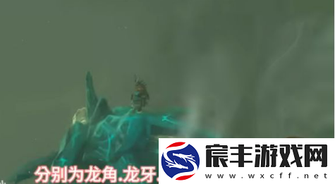 王国之泪龙爪怎么刷的最快-龙爪/龙角/龙牙/龙鳞获取攻略
