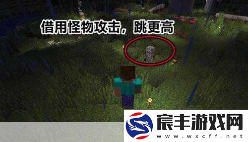我的世界-揭秘那些隐藏的出生地彩蛋-第八条关键时刻能救命！