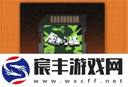 新月携手净天卡带的最佳搭配方案与攻略
