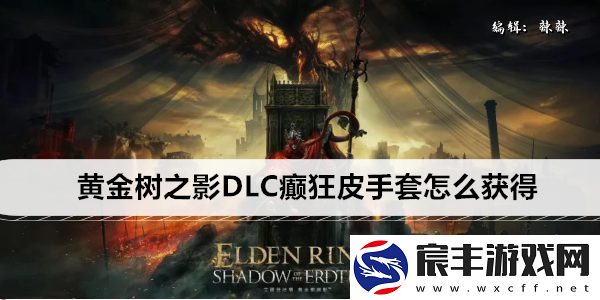 艾尔登法环黄金树之影DLC癫狂皮手套怎么获得