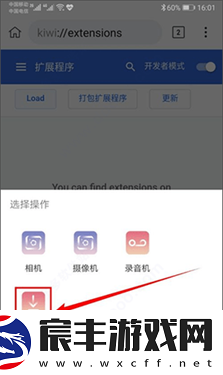 kiwi浏览器中文