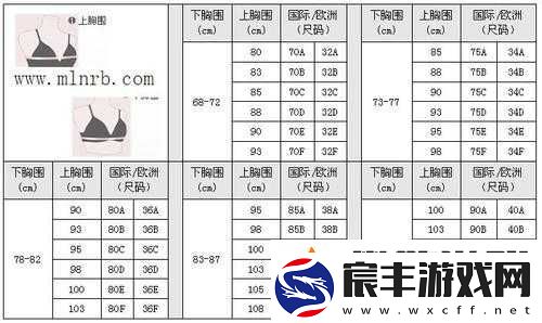 亚洲无人区码一码二码三码的区别：特点解析