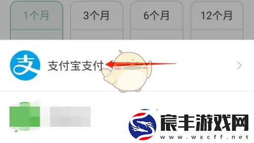 正气app怎么开会员