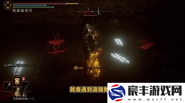 艾尔登法环黄金树之影DLC癫狂皮手套怎么获得