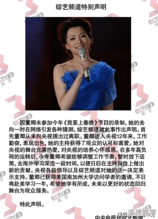 天美麻花果冻：传闻其背后隐藏着神秘配方-竟然与明星代言人有千丝万缕的联系！