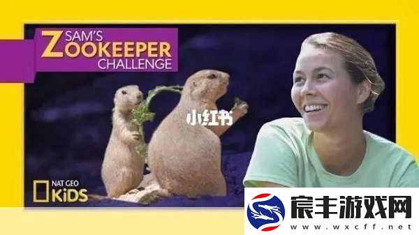 ZOOKEEPER另类探索Zookeeper的独特应用与挑战