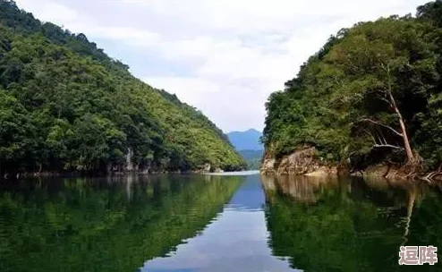 蜜桃桃在线观看：友爆料称该平台涉嫌传播不良信息及盗版资源-引发舆论热议