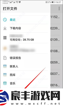 kiwi浏览器中文