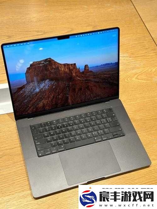 16-岁少年与他的日本-MacBook-Pro