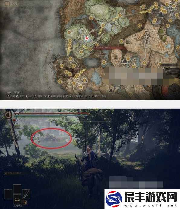 艾尔登法环DLC夺红破露滴怎么获得