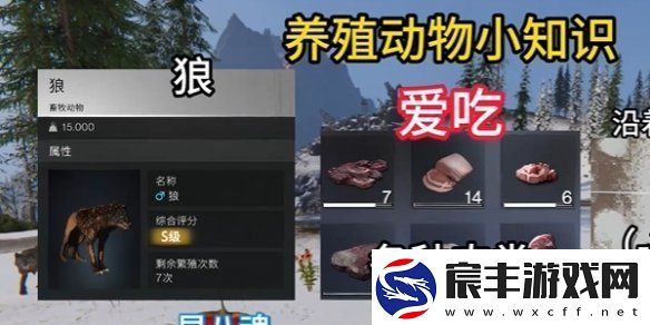 七日世界养殖什么动物
